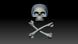 pirate skull model
