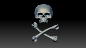 pirate skull