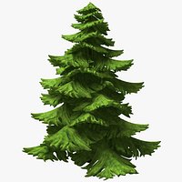 Fir Tree