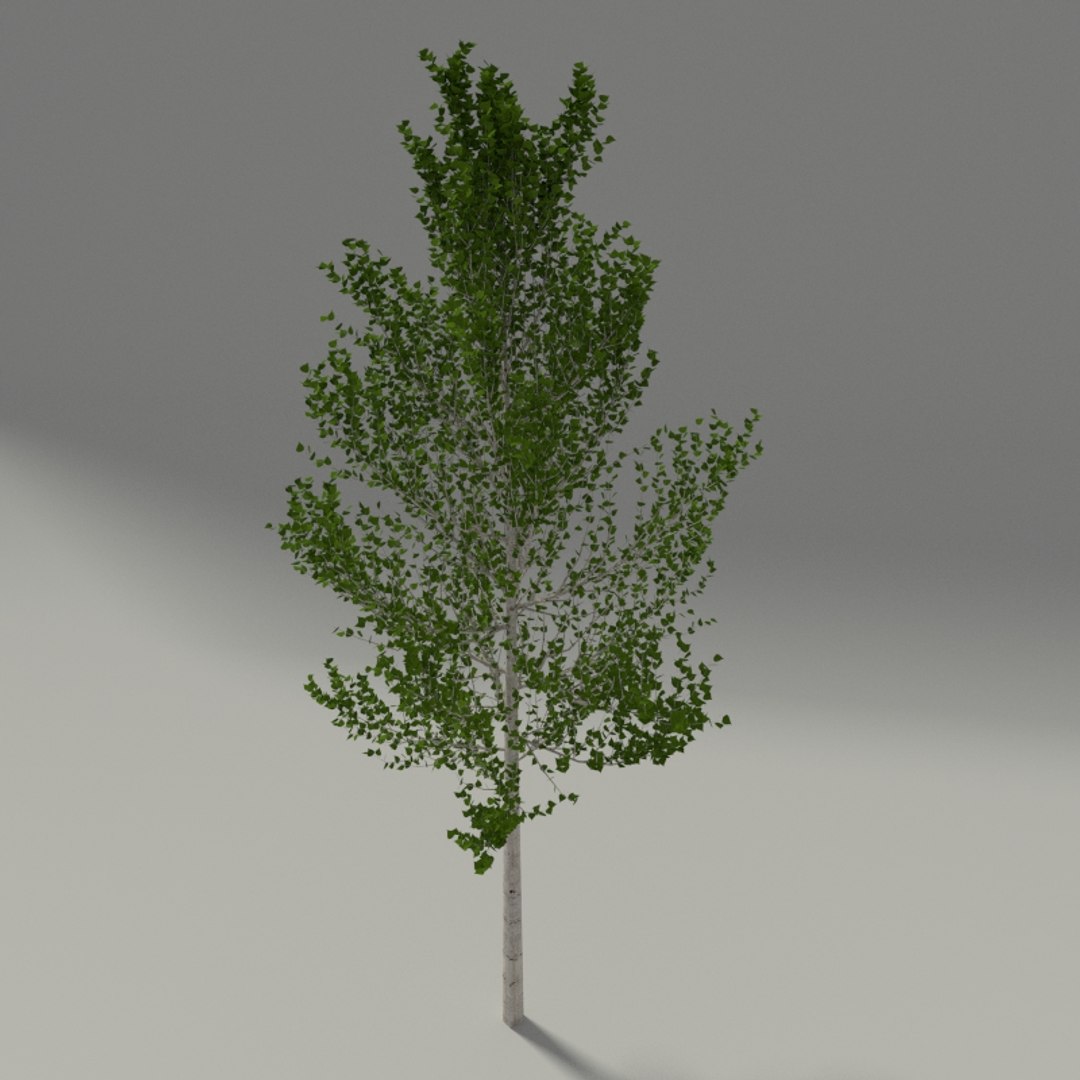 Birch Blender 3ds