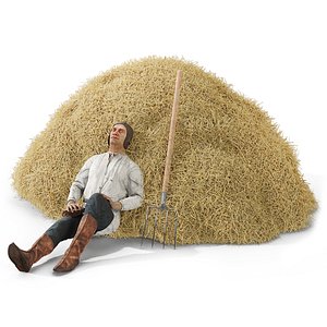3D Medieval Farmer Resting in Hay