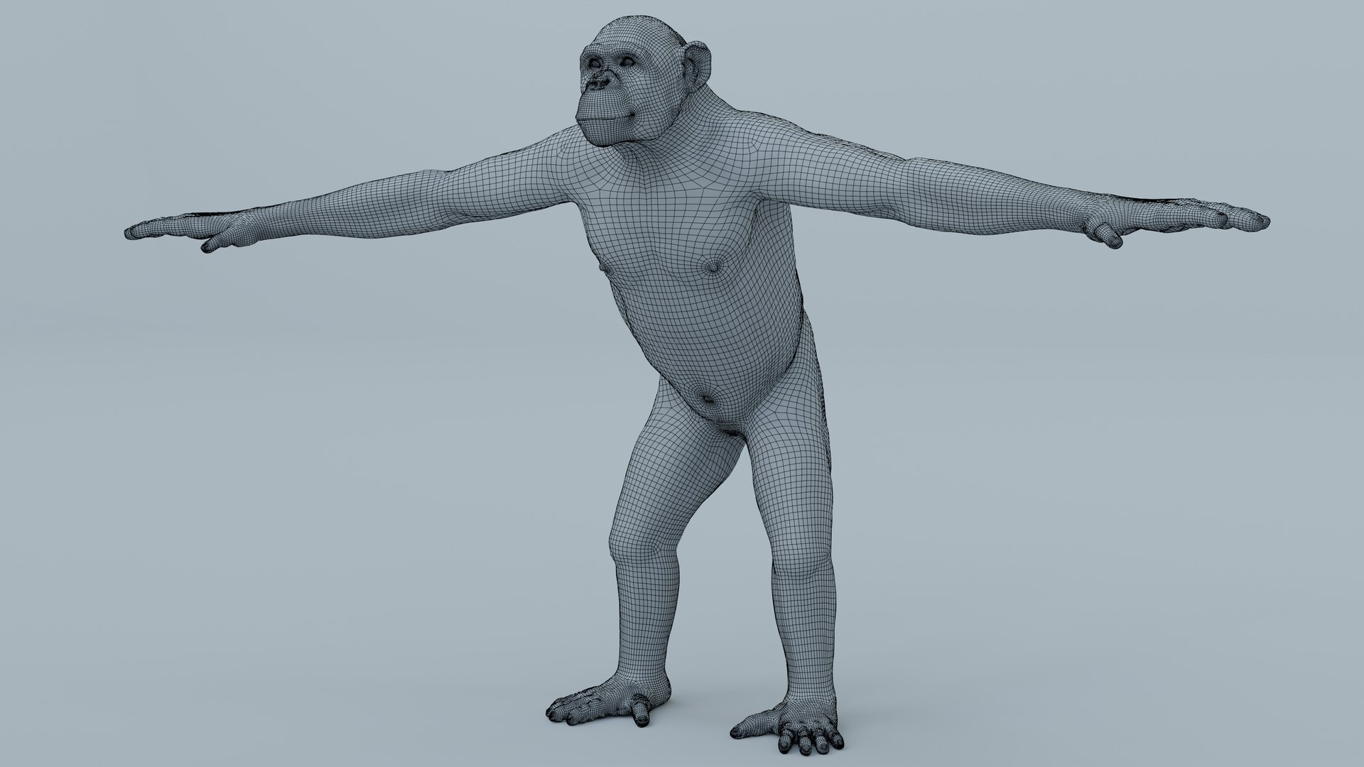 3D Chimpanzee Model - TurboSquid 2005149