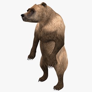 3ds max grizzly bear pose 3