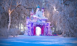 Christmas Forest Animated