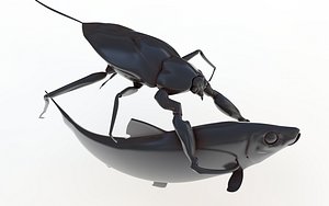 Water Scorpion