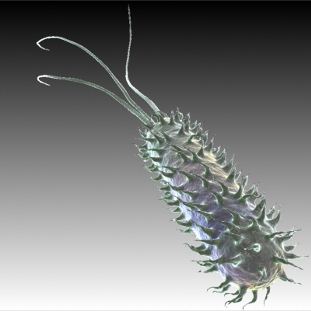 40 micro objects set max https://p.turbosquid.com/ts-thumb/ww/dPsbUZ/0eGOy2YF/bacillus1/jpg/1214244655/1920x1080/fit_q87/096543d5f921911441f5ce9e30af464ea6981ef2/bacillus1.jpg