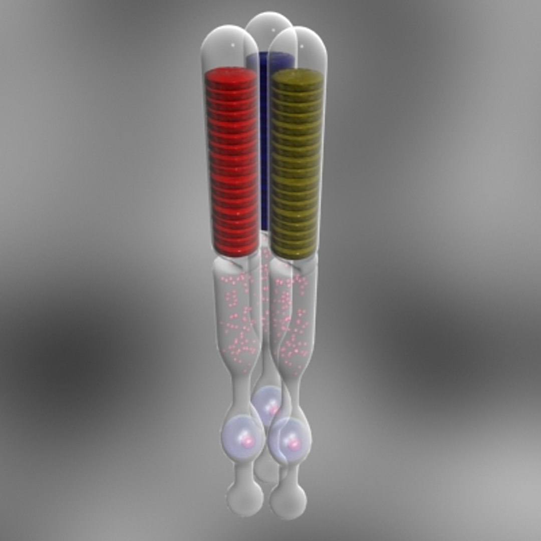 40 micro objects set max https://p.turbosquid.com/ts-thumb/ww/dPsbUZ/2MyxOtyr/photocell/jpg/1214244713/1920x1080/fit_q87/05f793d7f26012938600684ac61d48684970ab76/photocell.jpg