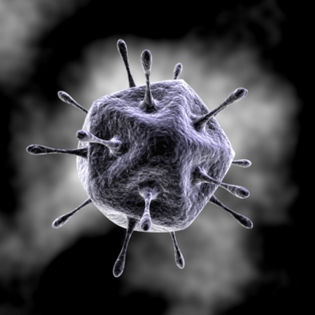 40 micro objects set max https://p.turbosquid.com/ts-thumb/ww/dPsbUZ/ApGoJAQ3/virus25/jpg/1214245122/1920x1080/fit_q87/30d15dc06922b68a89dcdab1d696e64050be9306/virus25.jpg