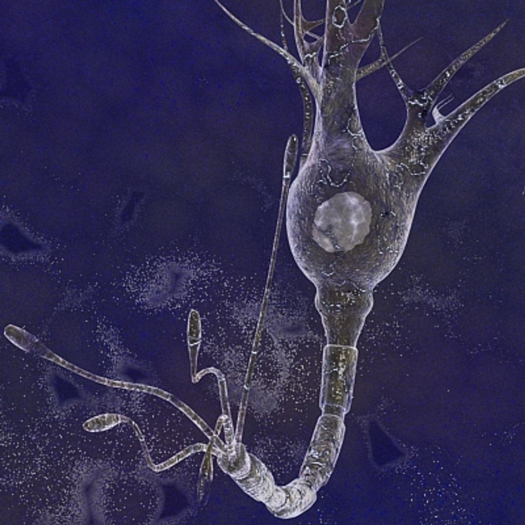 40 micro objects set max https://p.turbosquid.com/ts-thumb/ww/dPsbUZ/FJSFViU9/1/jpg/1214244646/1920x1080/fit_q87/8a5f4e342ea33c3babed7db6d3723ef149b32494/1.jpg