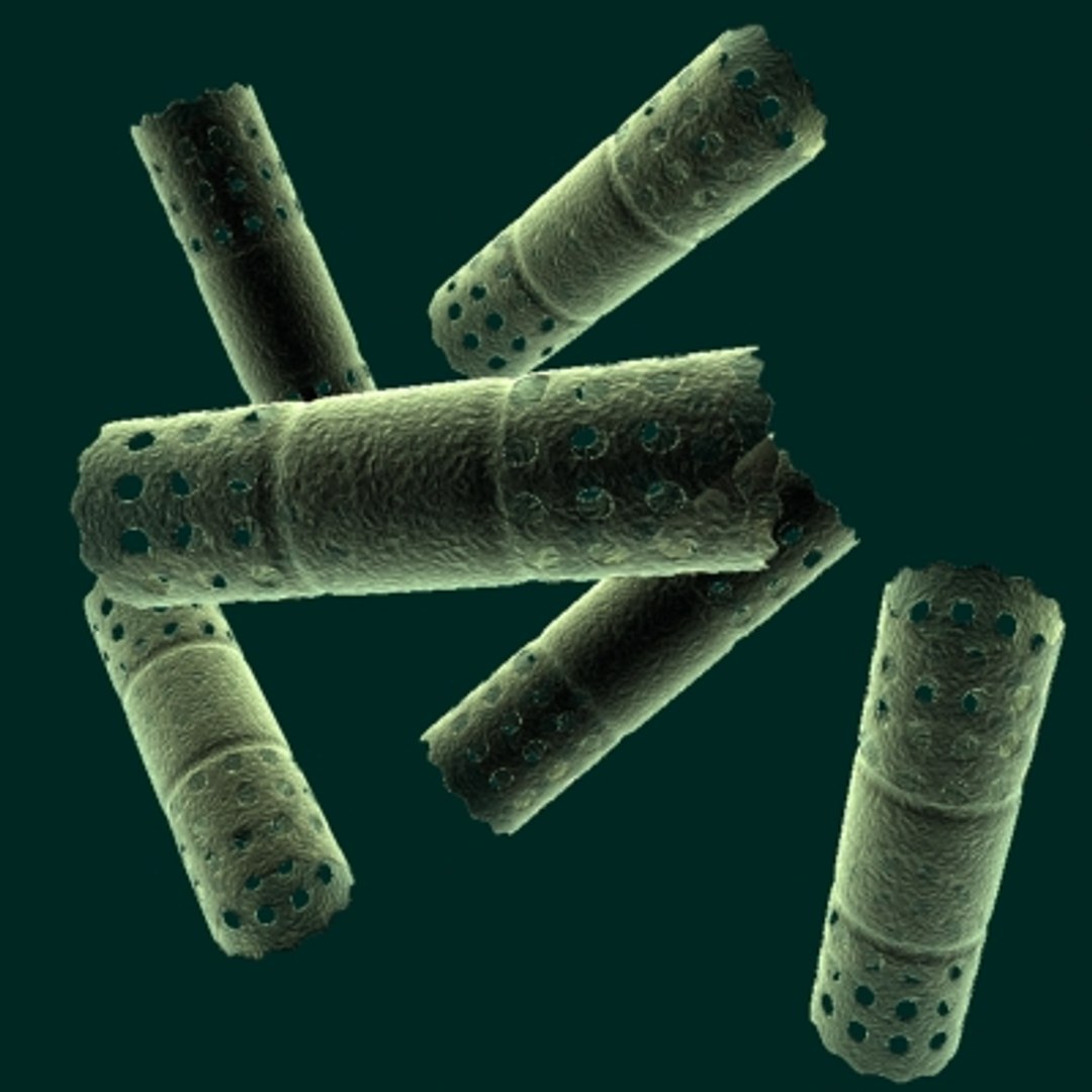 40 micro objects set max https://p.turbosquid.com/ts-thumb/ww/dPsbUZ/KqBCliqy/bluegreenalgea/jpg/1214244673/1920x1080/fit_q87/bb38f3b70af15a735bf2f1d4b078125dc70ea415/bluegreenalgea.jpg