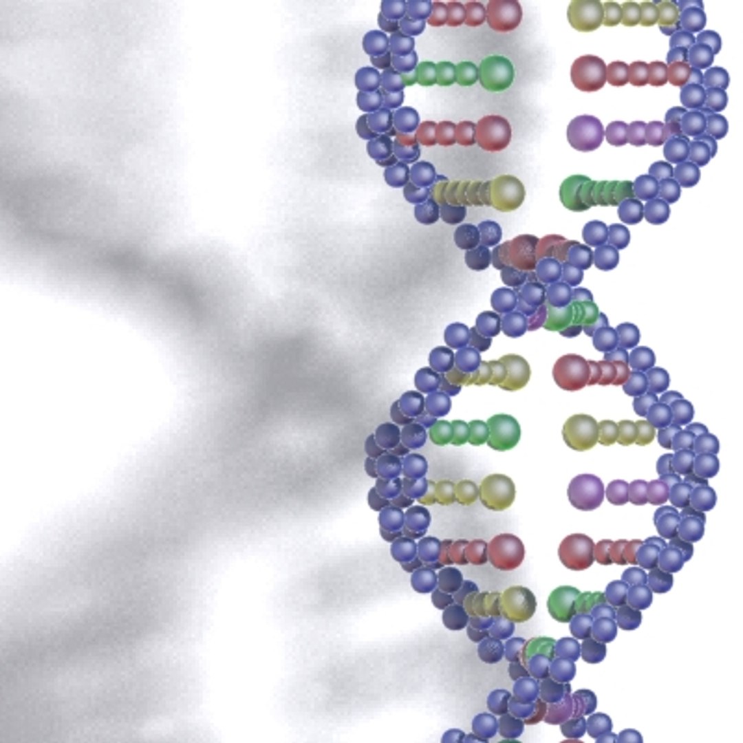 40 micro objects set max https://p.turbosquid.com/ts-thumb/ww/dPsbUZ/n8Fjn5Zc/dna/jpg/1214244382/1920x1080/fit_q87/cbd4f47ebe676c56078baf310aa9481be2ee1852/dna.jpg