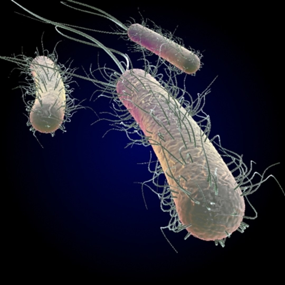 40 micro objects set max https://p.turbosquid.com/ts-thumb/ww/dPsbUZ/zVaP57KT/flag4/jpg/1214244672/1920x1080/fit_q87/58a6defa11b040a2c8ca6f7dba529cb98a4632c7/flag4.jpg