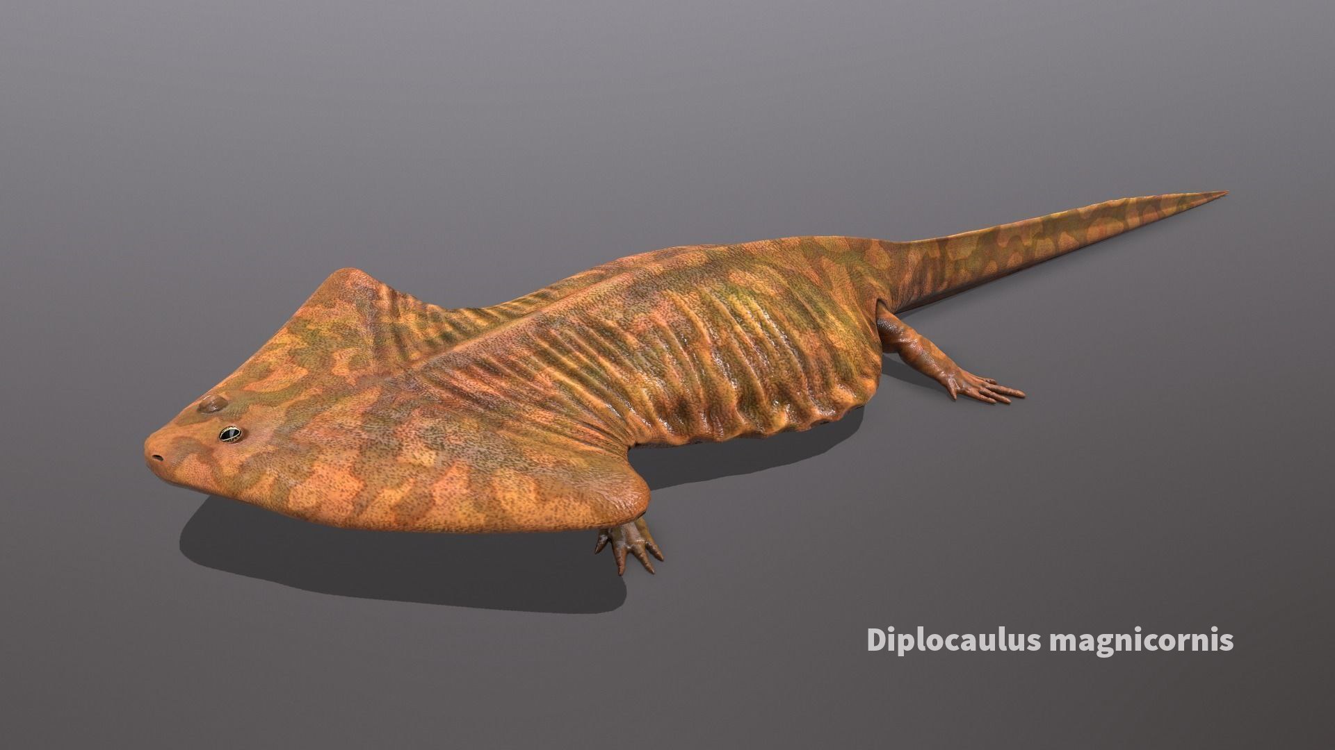 extinct animals version 7 model https://p.turbosquid.com/ts-thumb/ww/gSsVJc/EXVapRsq/64/jpg/1584605126/1920x1080/fit_q87/5799e3a73a396baefb1af68a17e7cac43a5555e2/64.jpg