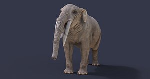 extinct animals version 7 model