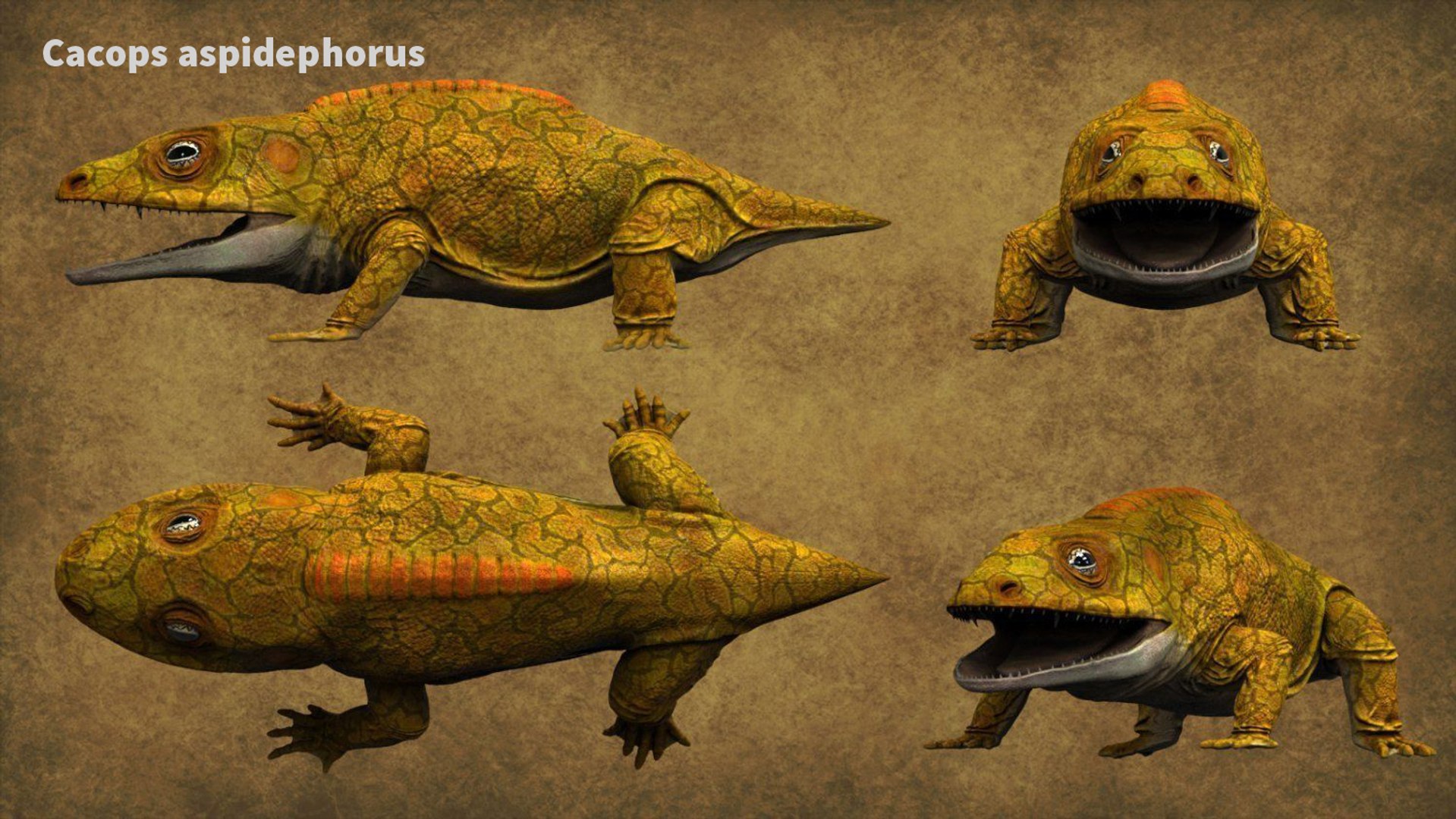 extinct animals version 7 model https://p.turbosquid.com/ts-thumb/ww/gSsVJc/MvKdq1Ns/40/jpg/1584604802/1920x1080/fit_q87/3972e234f50f9d5c863b151af113b828f0206e13/40.jpg
