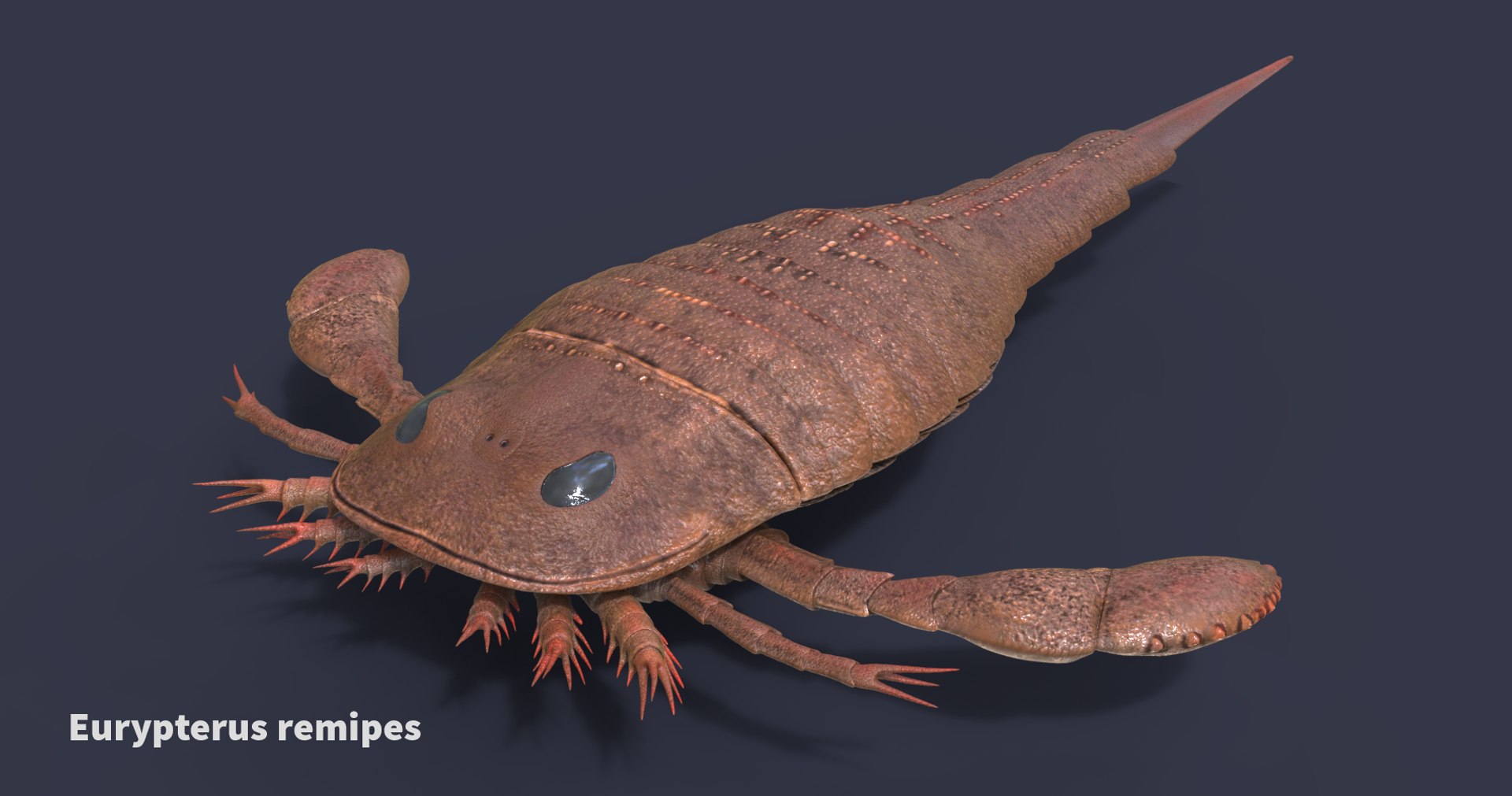 extinct animals version 7 model https://p.turbosquid.com/ts-thumb/ww/gSsVJc/NDI3KVKD/49/png/1584604915/1920x1080/fit_q87/3a2af03218782bfcfe740b91c56d1ae406531bfd/49.jpg