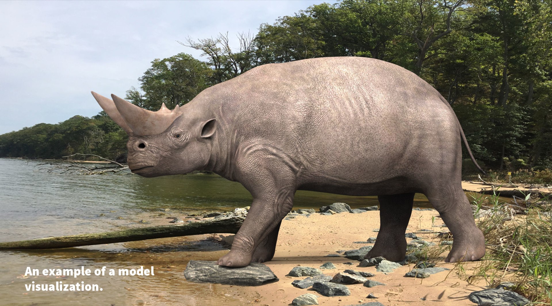 extinct animals version 7 model https://p.turbosquid.com/ts-thumb/ww/gSsVJc/Tefc1KTX/57/jpg/1584605012/1920x1080/fit_q87/f9b28480201f4a7a34f2b027ce06458d5ef84fb5/57.jpg