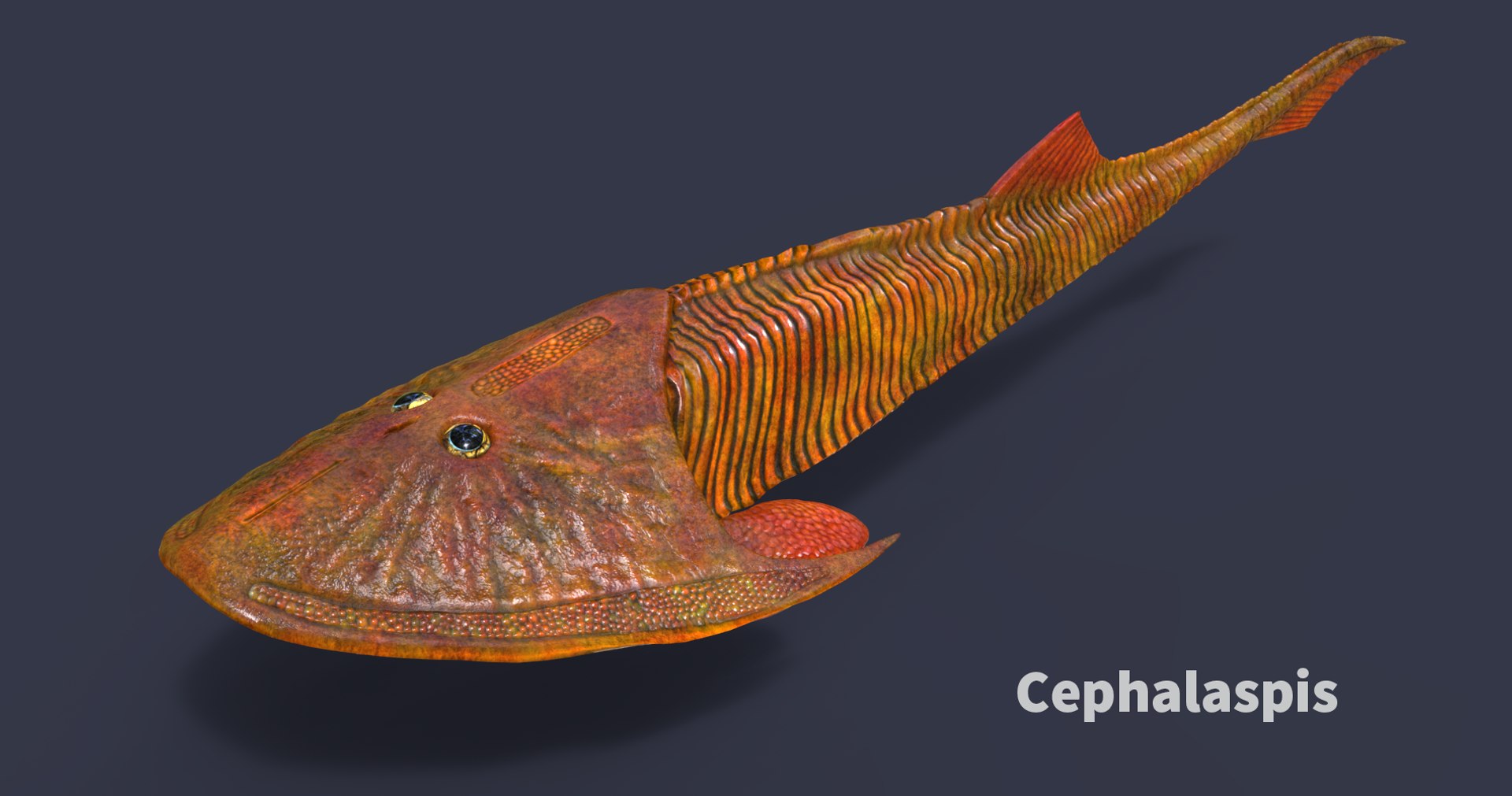 extinct animals version 7 model https://p.turbosquid.com/ts-thumb/ww/gSsVJc/WMz2b3GS/110/png/1584608447/1920x1080/fit_q87/d2ba5d84a64f66d9a634861306a5eda4a2550cba/110.jpg