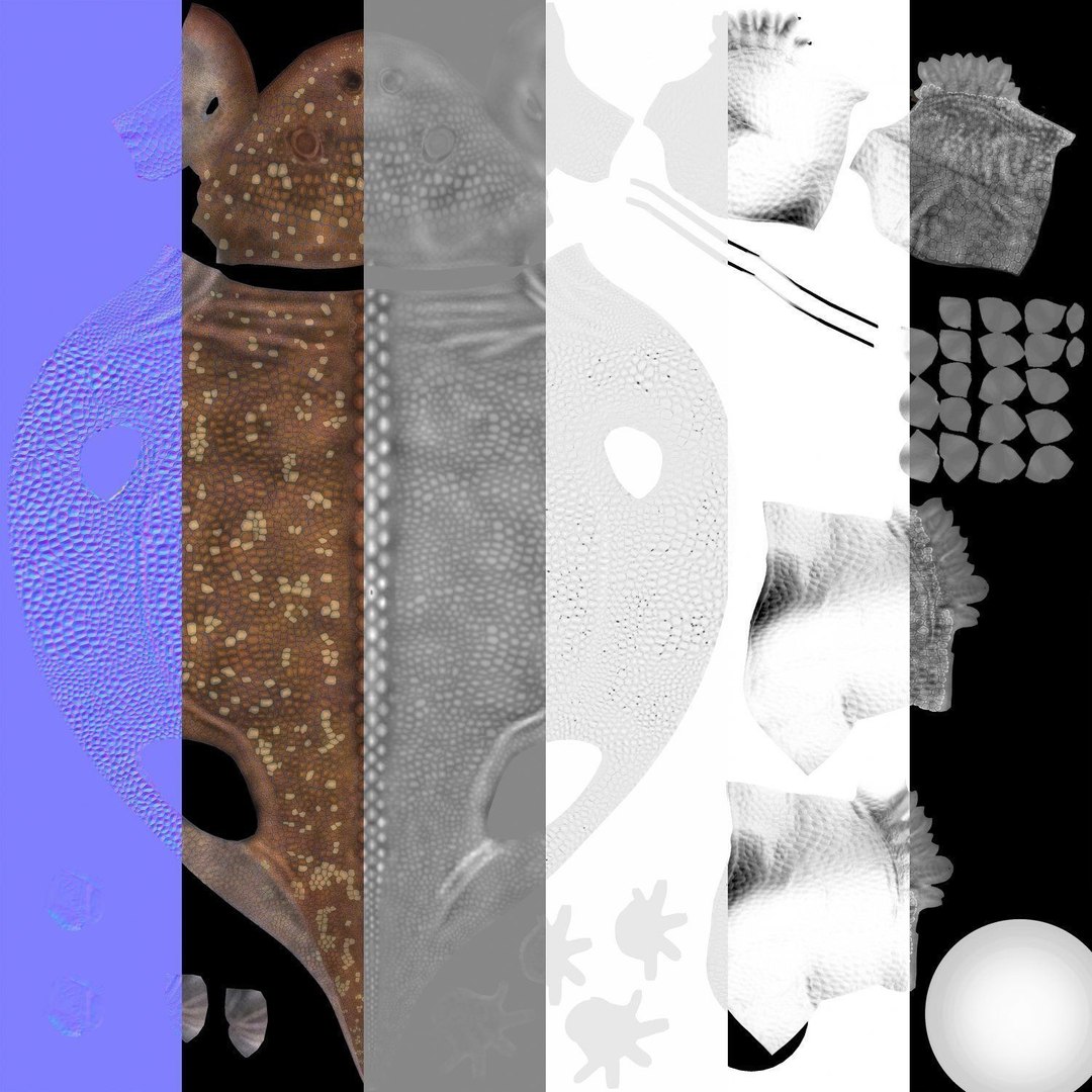 extinct animals version 7 model https://p.turbosquid.com/ts-thumb/ww/gSsVJc/gPr7jCYC/47/jpg/1584604893/1920x1080/fit_q87/1147fe663a3e9ce85503862c1bbf13dcaa8b954b/47.jpg