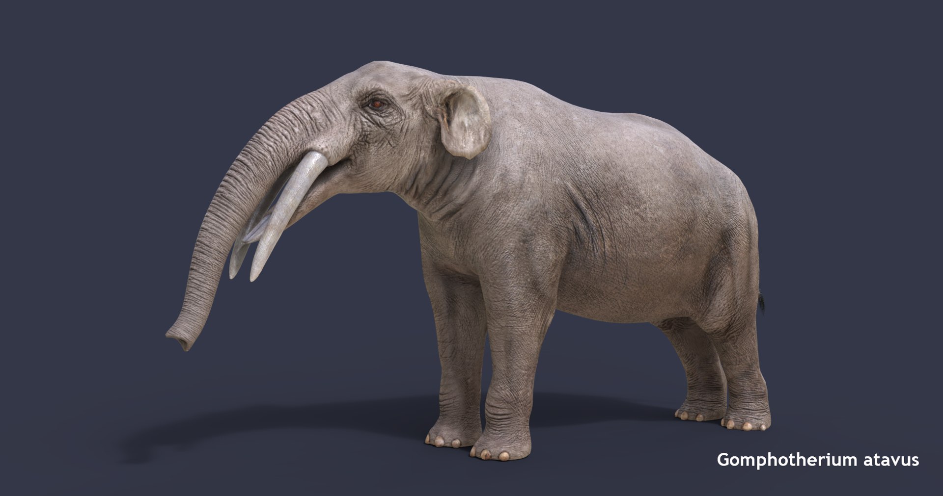 extinct animals version 7 model https://p.turbosquid.com/ts-thumb/ww/gSsVJc/jzieDf2y/1/png/1584603144/1920x1080/fit_q87/3a875eb139d8a69144b7a508c918c5fa9fb5f281/1.jpg