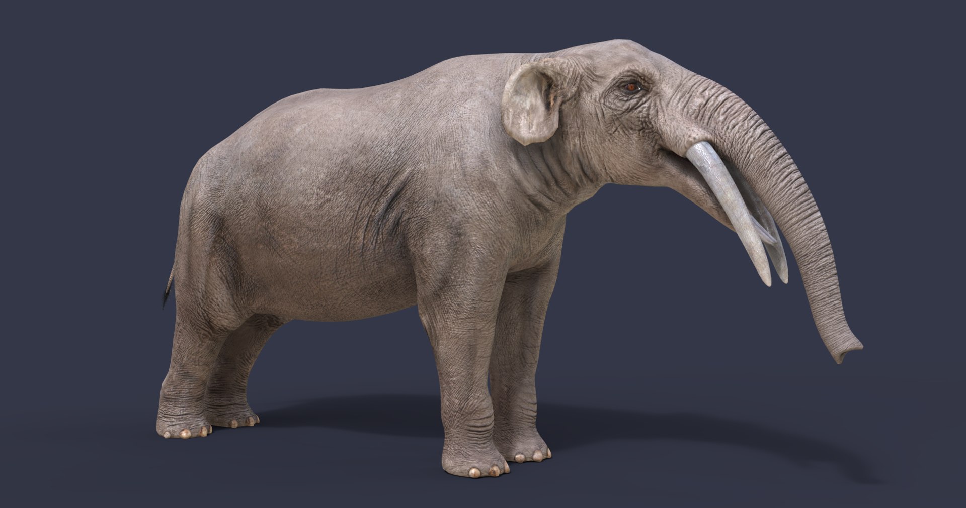 extinct animals version 7 model https://p.turbosquid.com/ts-thumb/ww/gSsVJc/u4aMpYr5/4/png/1584603215/1920x1080/fit_q87/a082393a2472aa3b0d4c4ad54a1af2e4f1f2adb5/4.jpg