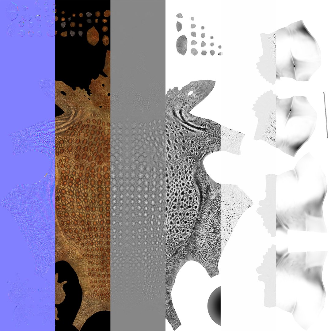 extinct animals version 7 model https://p.turbosquid.com/ts-thumb/ww/gSsVJc/xYpyOgnR/118/jpg/1584608543/1920x1080/fit_q87/f5c12173427489cbf3cadf0838459a76f2c357af/118.jpg