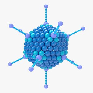 Adenovirus 3D