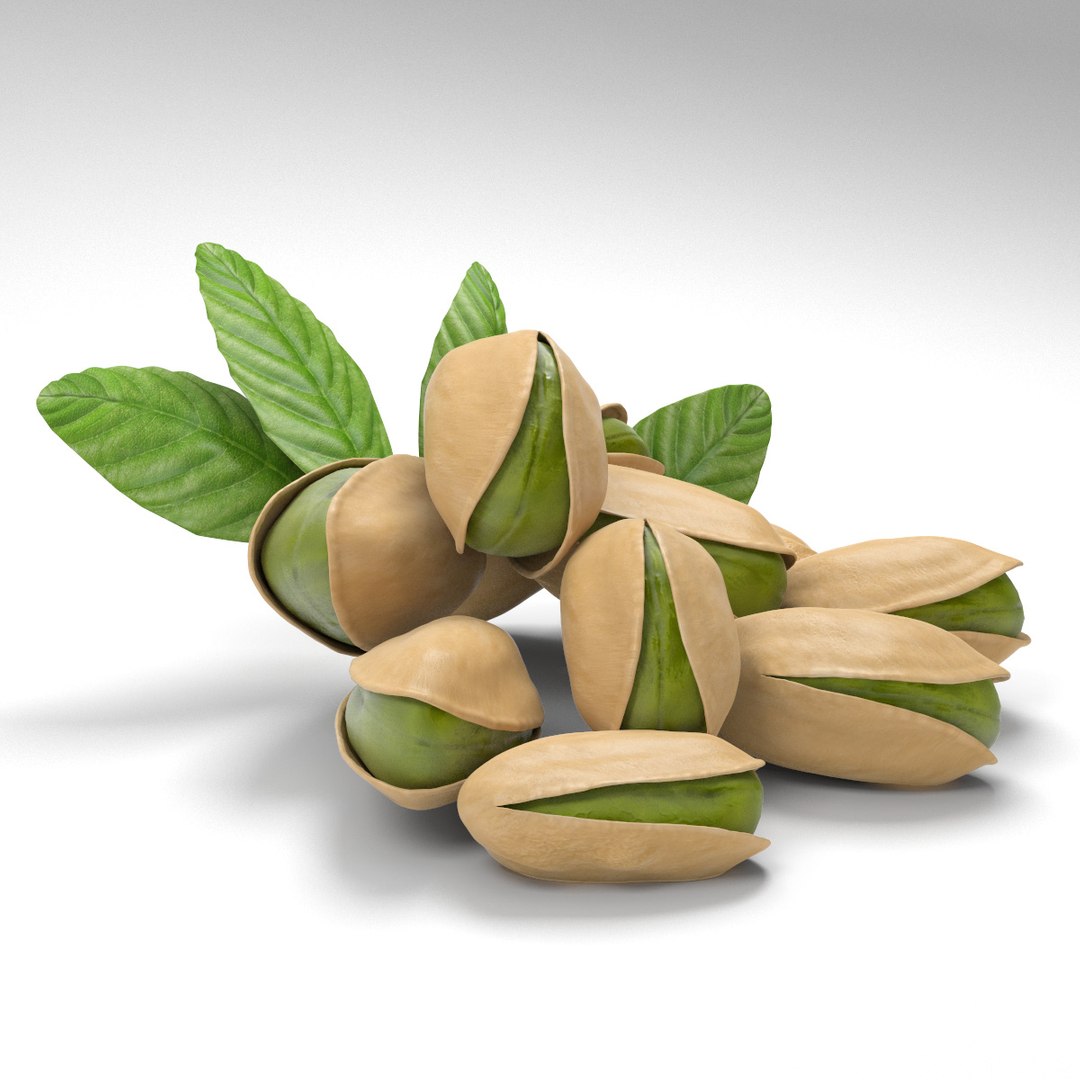 realistic pistachio nut 3D https://p.turbosquid.com/ts-thumb/wx/DWmYOv/qcPc8h0O/pistachio03/jpg/1509222682/1920x1080/fit_q87/b7dd2950507f465ff4f35bbda56e71a0259e0e27/pistachio03.jpg