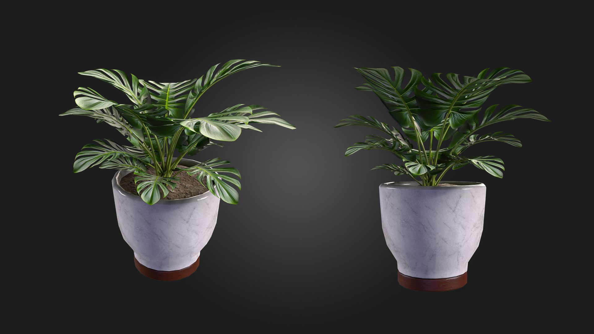 3D Plant https://p.turbosquid.com/ts-thumb/wx/WzgHL8/9N/img_2/jpg/1717535918/1920x1080/fit_q87/79d3e1afa5f068c48bb8c7b0dc58c22b5f59eddb/img_2.jpg
