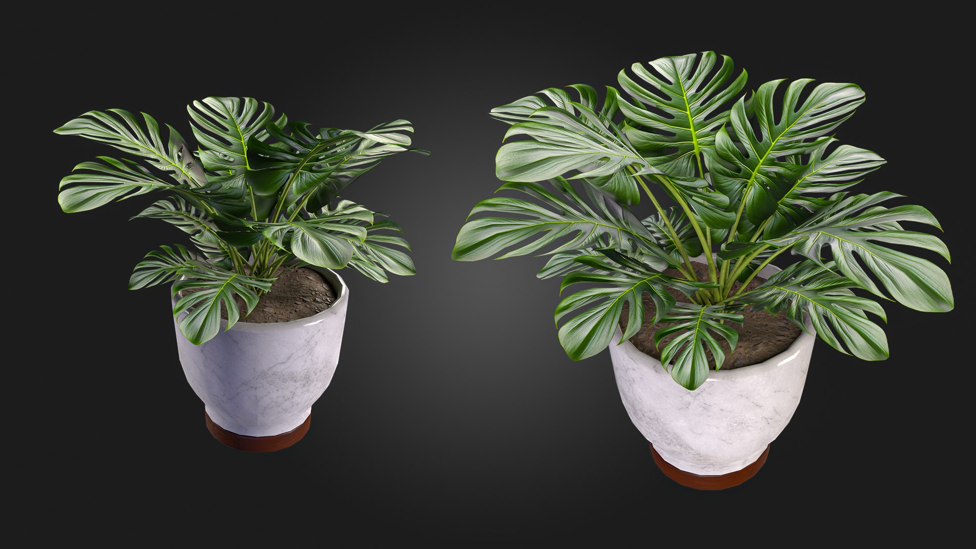 3D Plant https://p.turbosquid.com/ts-thumb/wx/WzgHL8/AH/img_3/jpg/1717535918/1920x1080/fit_q87/180ec30f2f0ed6dc093d178aba90e9632714716f/img_3.jpg