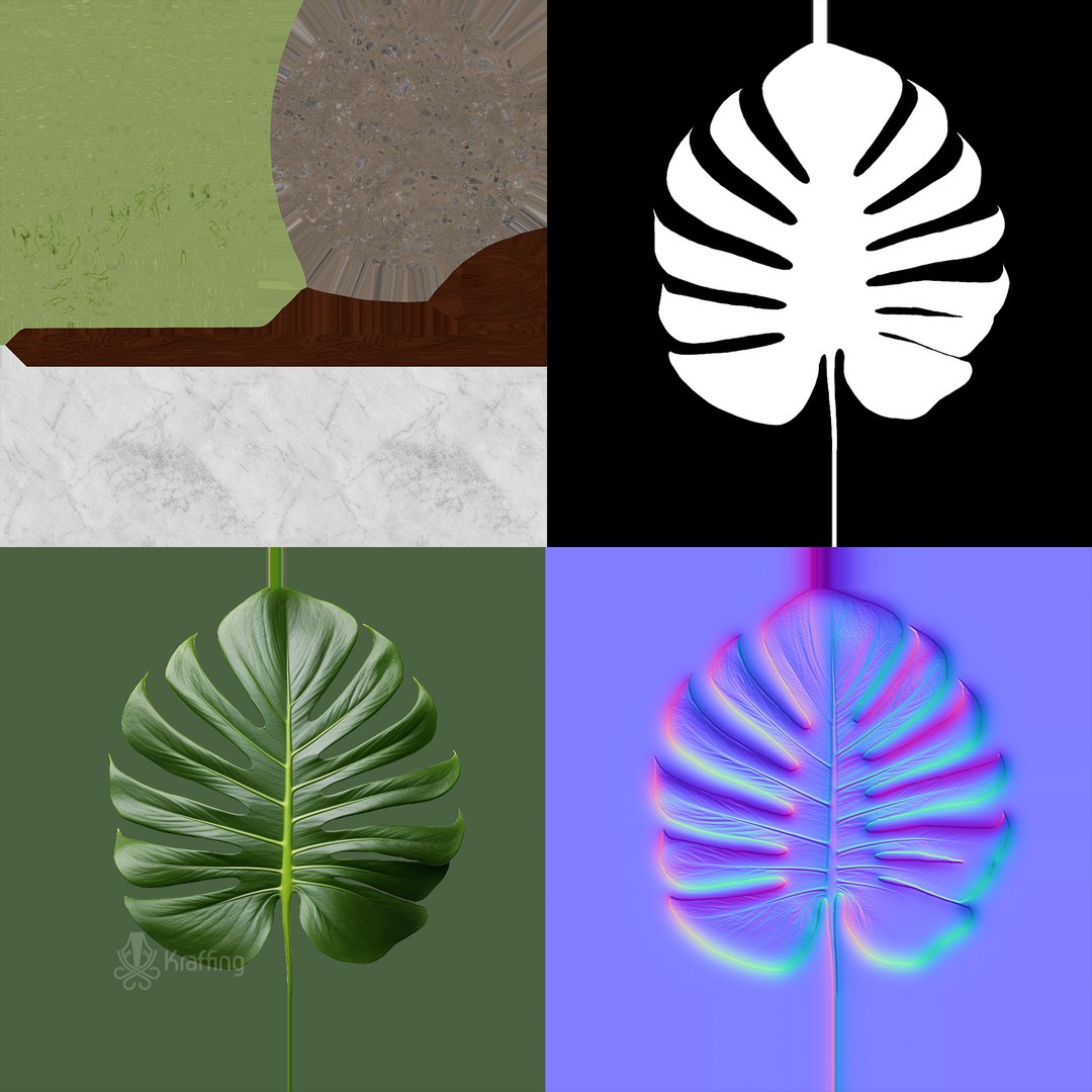 3D Plant https://p.turbosquid.com/ts-thumb/wx/WzgHL8/KY/img_03/jpg/1717535925/1920x1080/fit_q87/424924c1d10ac87aacca5ea783a36ca1e1409459/img_03.jpg