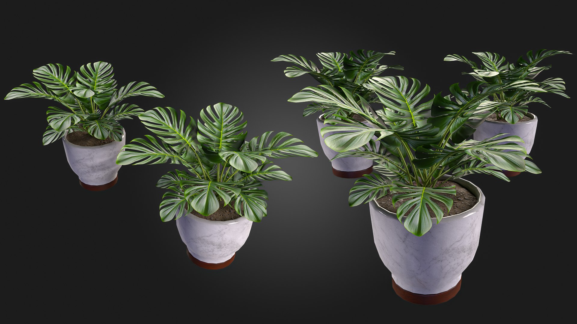 3D Plant https://p.turbosquid.com/ts-thumb/wx/WzgHL8/ux/img_5/jpg/1717535918/1920x1080/fit_q87/9c31f9f80a89a657c2ebbbb5b3acb9daf3ce11fc/img_5.jpg
