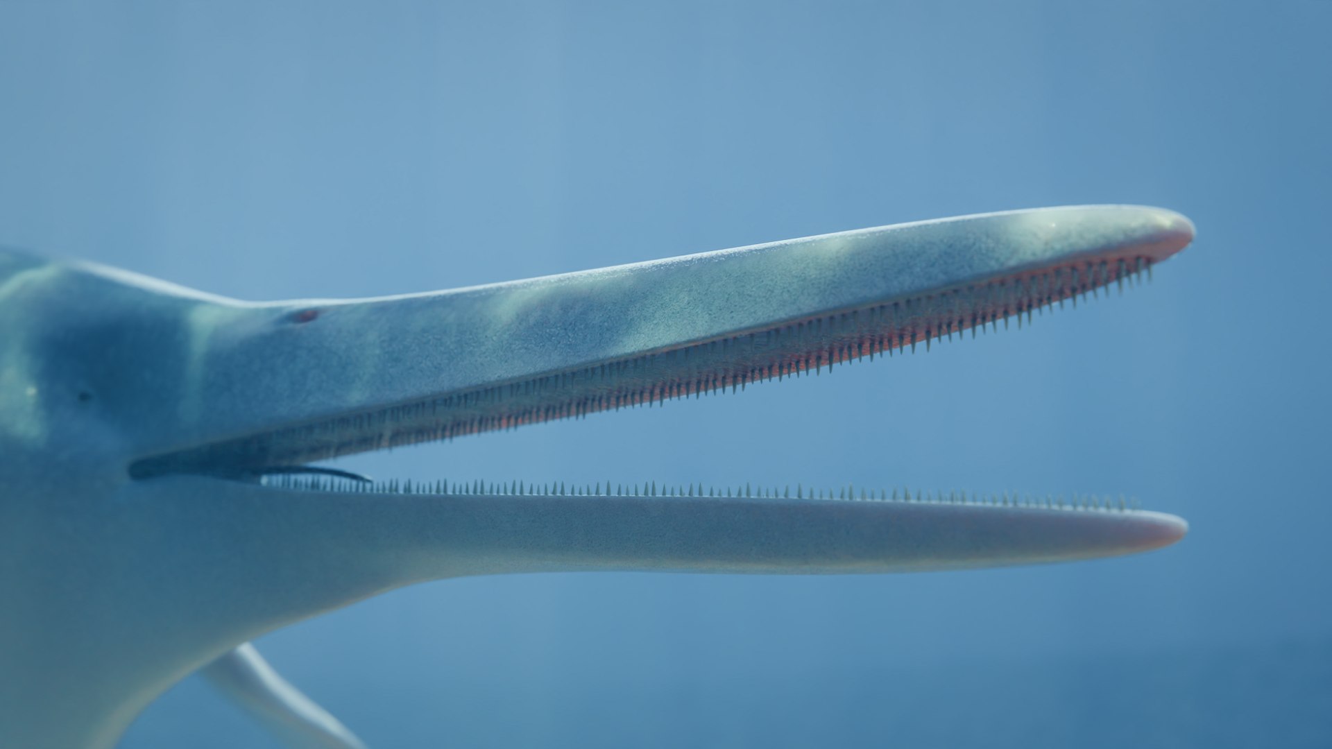 3D Shonisaurus https://p.turbosquid.com/ts-thumb/wx/YlmgXq/3B/4/png/1734955248/1920x1080/fit_q87/664c3995363b8f82540232c39d2cd600bfde531b/4.jpg