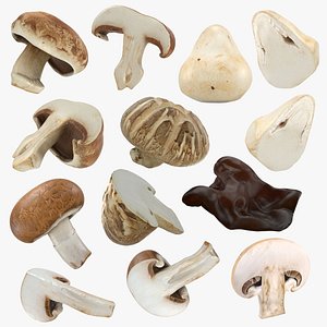 3D Mushroom Collection model