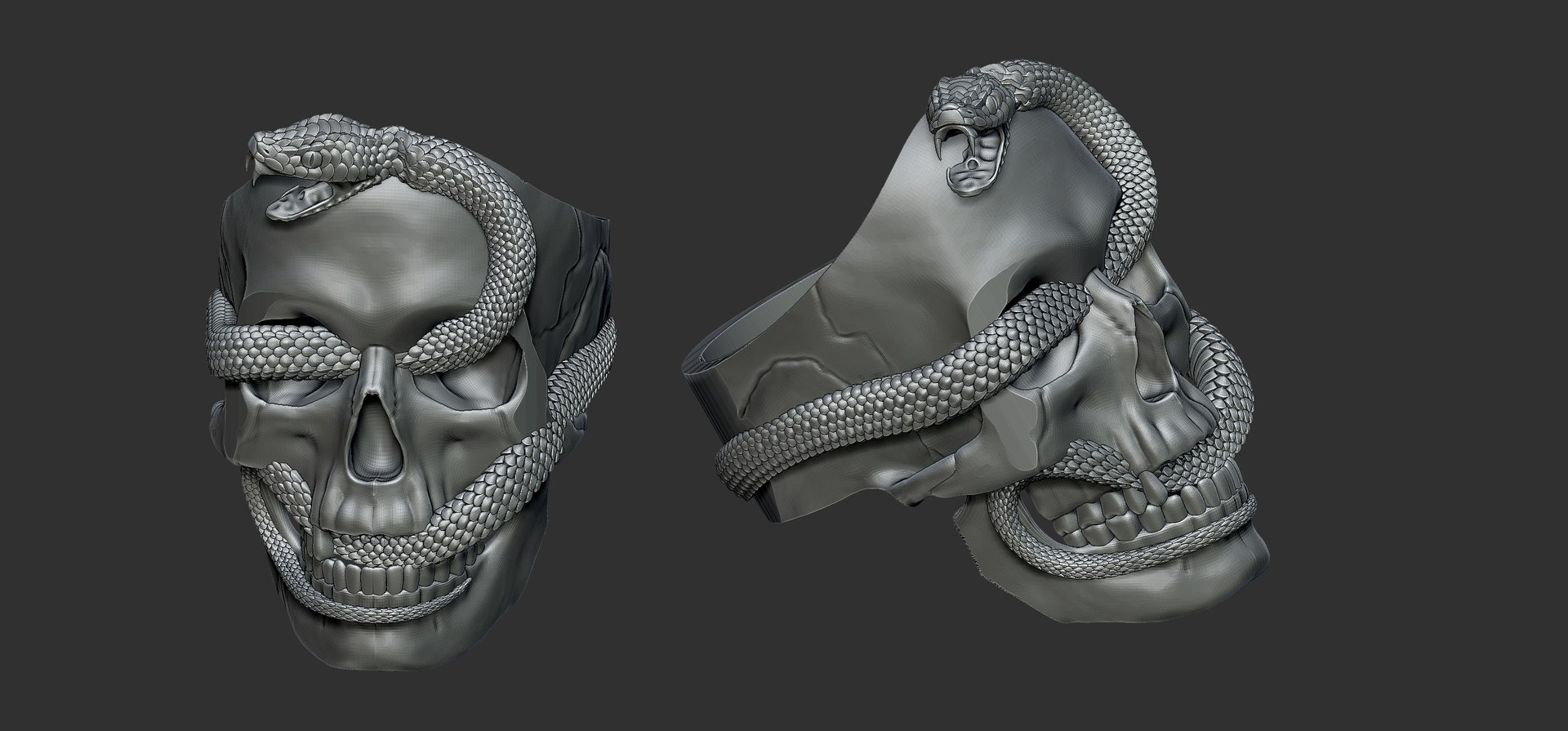 3D Ring Skull With Snake Model - TurboSquid 2140042