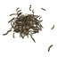 Twigs wood wooden bush stick park grass thicket shrub