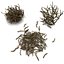 Twigs wood wooden bush stick park grass thicket shrub