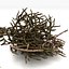 Twigs wood wooden bush stick park grass thicket shrub