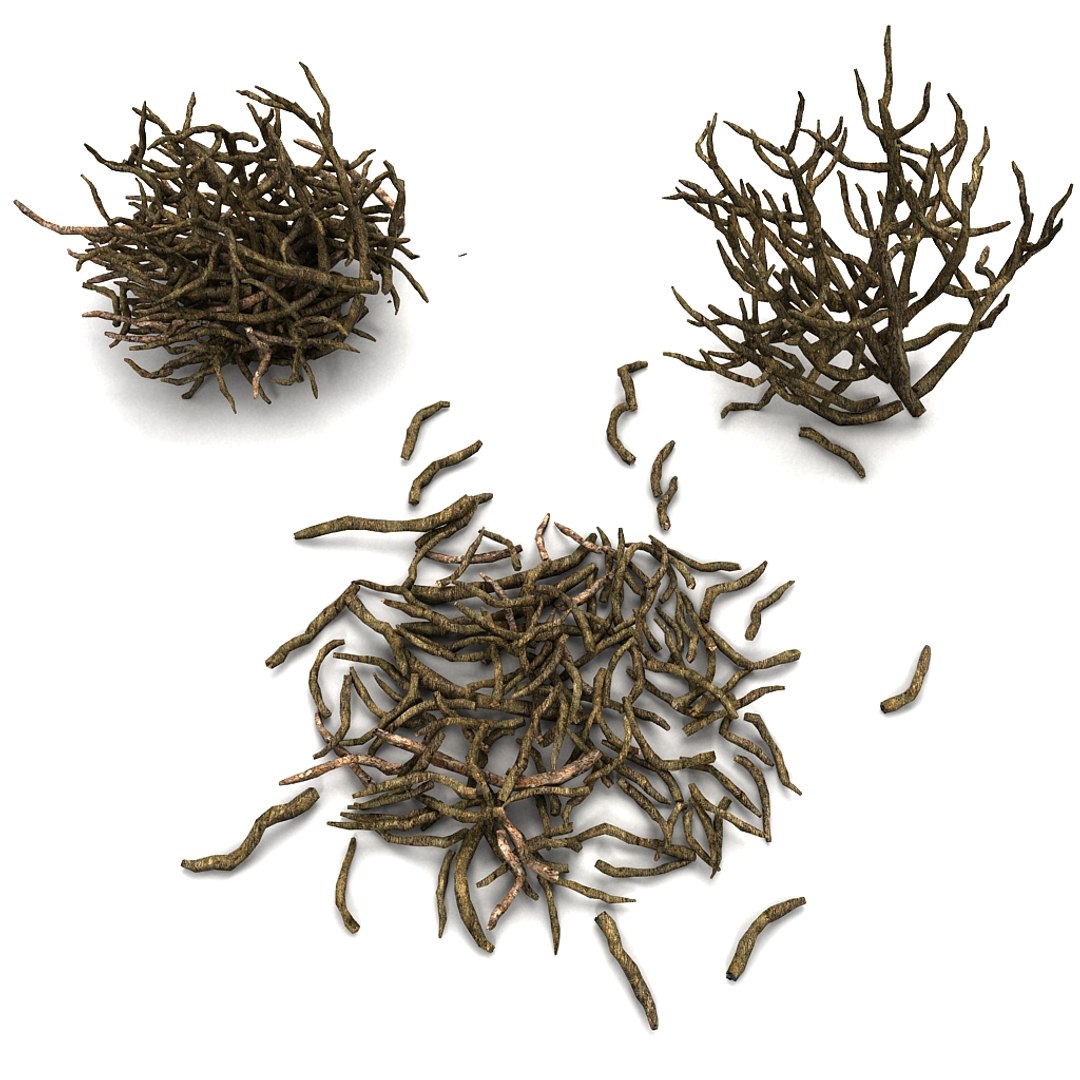 twig 3d model https://p.turbosquid.com/ts-thumb/wx/kiTl60/6oCYHb27/02/jpg/1349038553/1920x1080/fit_q87/1dfeca965f59d4276c5f7047594a81ddffe9f34b/02.jpg