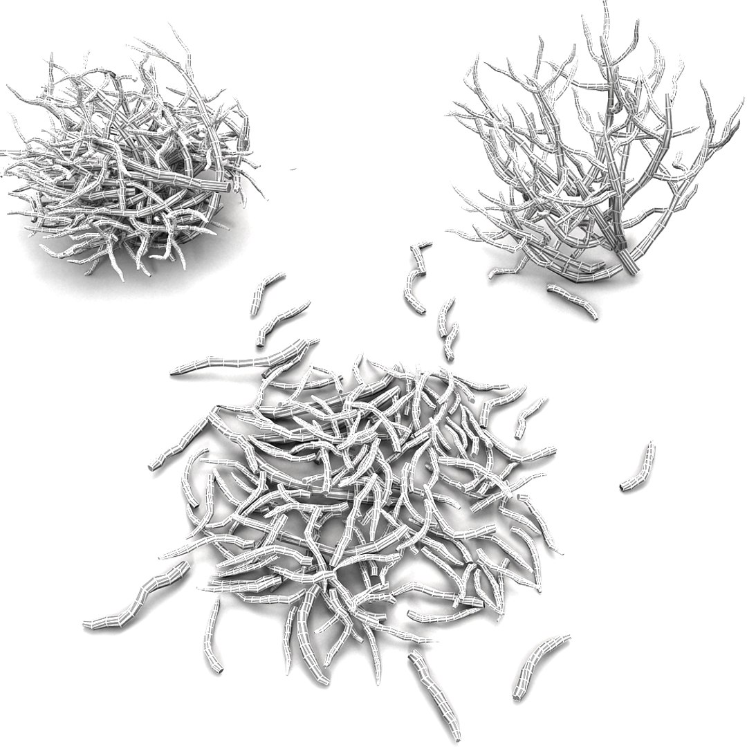 twig 3d model https://p.turbosquid.com/ts-thumb/wx/kiTl60/7TZd8LtU/10/jpg/1349038543/1920x1080/fit_q87/49fc01beb38cceb5b3659412543b83217a018983/10.jpg