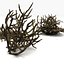 Twigs wood wooden bush stick park grass thicket shrub