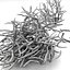 Twigs wood wooden bush stick park grass thicket shrub
