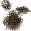 Twigs wood wooden bush stick park grass thicket shrub
