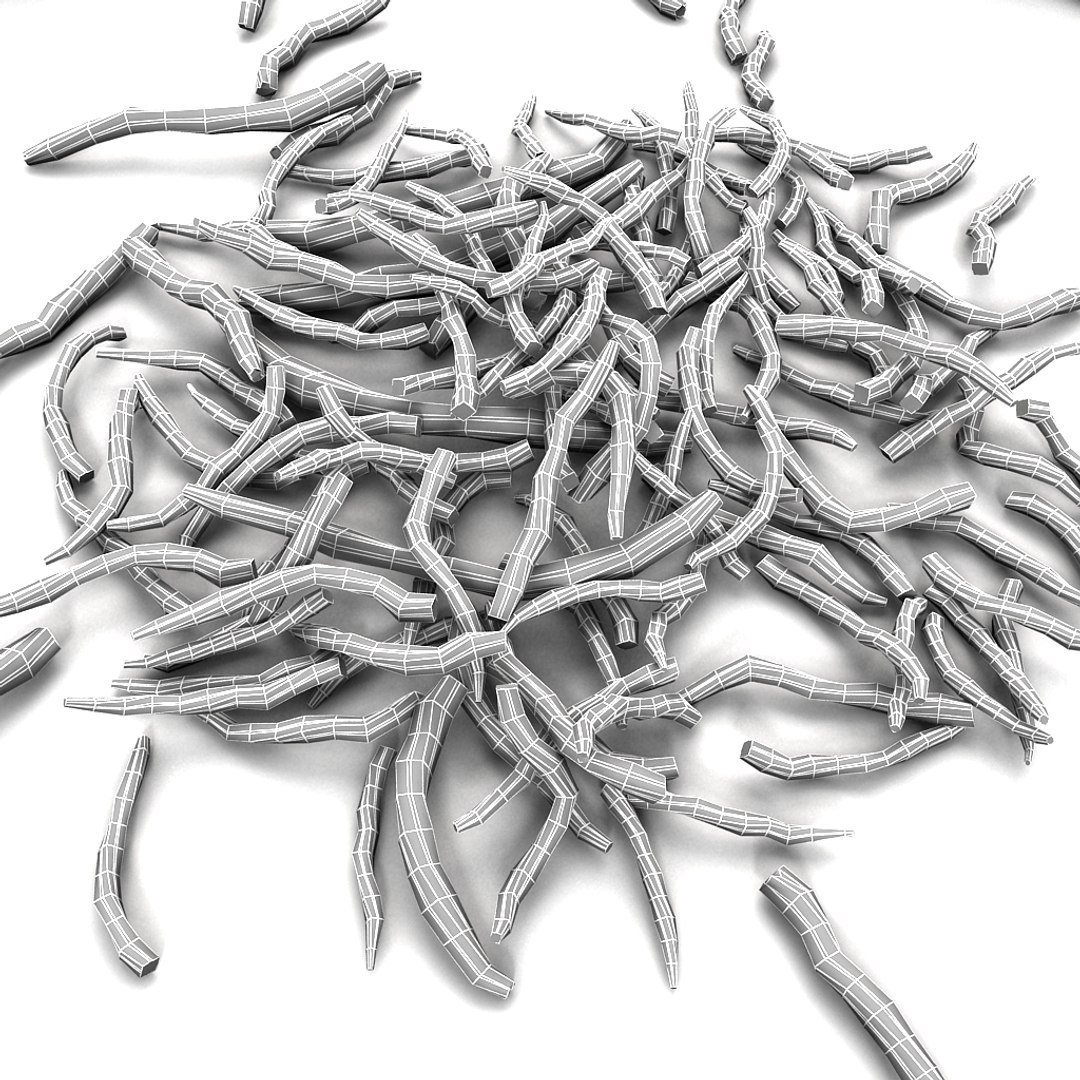 twig 3d model https://p.turbosquid.com/ts-thumb/wx/kiTl60/CHIHqooH/11/jpg/1349038543/1920x1080/fit_q87/67a54d5e7cdcfe905c67d2c9848f41ec363b3850/11.jpg