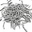 Twigs wood wooden bush stick park grass thicket shrub