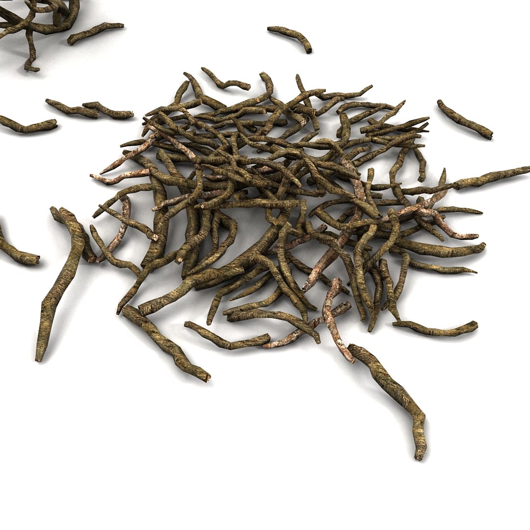 twig 3d model https://p.turbosquid.com/ts-thumb/wx/kiTl60/FltgUbDn/08/jpg/1349038543/1920x1080/fit_q87/f26c1182efd5d867f61e29d1605110ce5d48a712/08.jpg