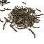 Twigs wood wooden bush stick park grass thicket shrub