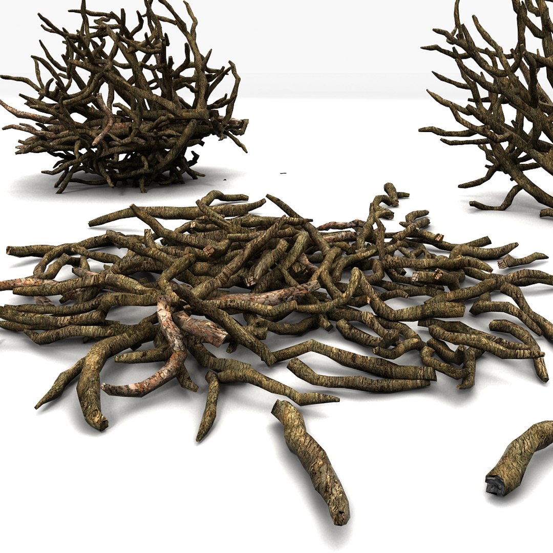 twig 3d model https://p.turbosquid.com/ts-thumb/wx/kiTl60/MVIYYJKB/09/jpg/1349038543/1920x1080/fit_q87/ad96d17037ce09508a60dacab47f14e7badcdc4b/09.jpg