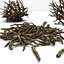 Twigs wood wooden bush stick park grass thicket shrub