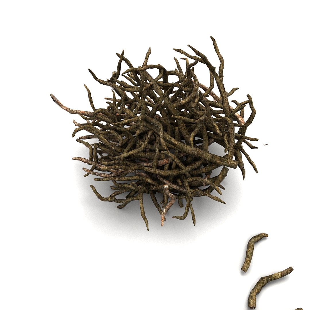 twig 3d model https://p.turbosquid.com/ts-thumb/wx/kiTl60/cXdsw2qk/03/jpg/1349038543/1920x1080/fit_q87/43d11f635f38c3a3dc93c4bd028ba81dcdd34f07/03.jpg